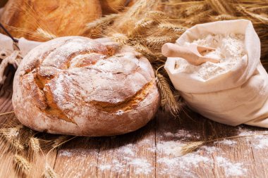 Taze ekmek, tahıl ve tahıl bileşimi. 
