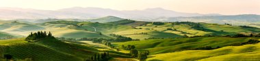 Yeşil bahar panorama landsca güzel ve mucizevi renkleri