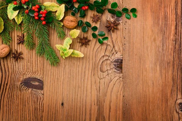 Zimní pozadí s přírodní zelené rostliny a vánoční dekorace — Stock fotografie