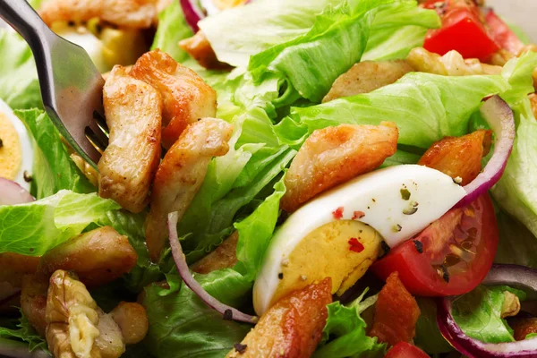 Délicieuse salade de poulet, noix, oeuf et légumes. — Photo