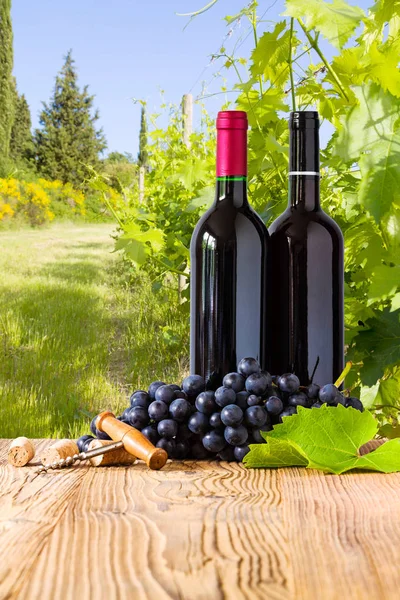 Garrafas de vinho tinto com uvas a bordo. Bela Toscana — Fotografia de Stock