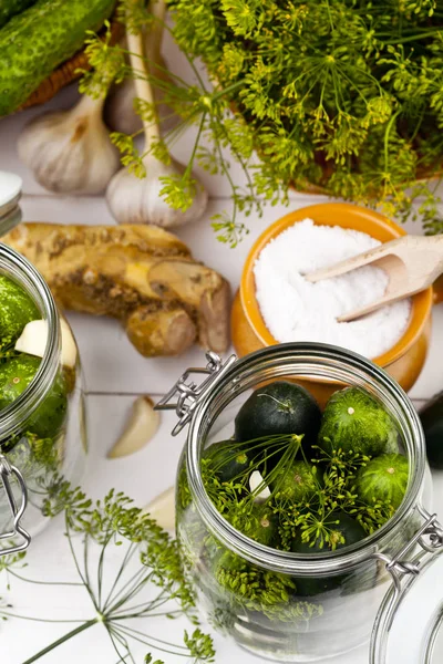Homemade pickles in brine with garlic, dill and horseradish — Stock Image Homemade pickles in brine with garlic, dill and horseradish Stock Photo