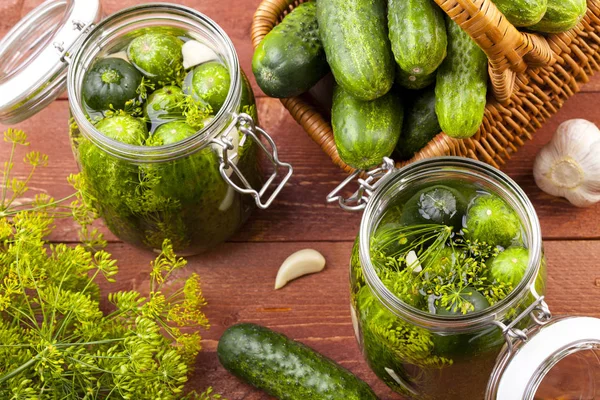 Homemade pickles in brine with garlic, dill and horseradish — Stock Image Homemade pickles in brine with garlic, dill and horseradish Stock Image