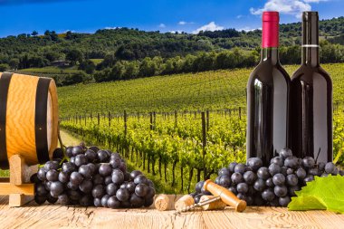 Kırmızı şarap şişeleri ile üzüm wodden gemide. Güzel Tuscany 