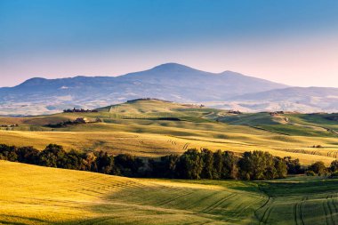 Tus yeşil bahar manzara güzel ve mucizevi renkleri