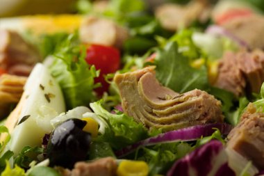 Marul, yumurta ve domatesli ton balığı salatası..