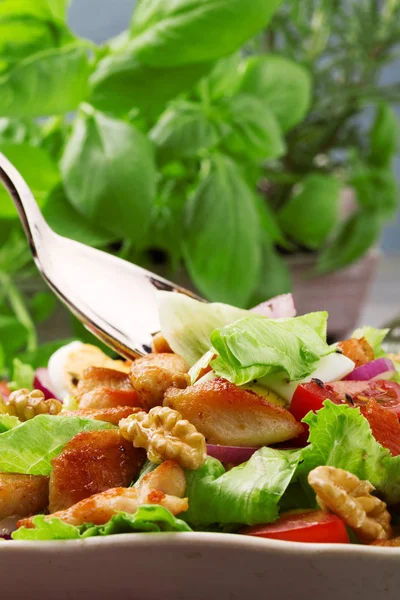 Köstlicher Salat mit Huhn, Nüssen, Ei und Gemüse. — Stockfoto