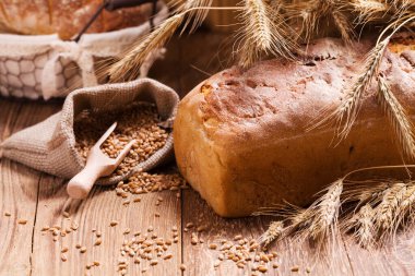 Taze ekmek, tahıl ve tahıl bileşimi. 