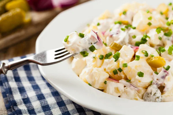 Ensalada Tradicional Papa Alemana Con Pepino Cebolla Mayonesa —  Fotos de Stock