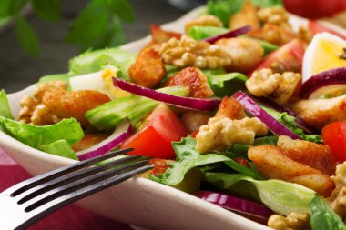 Tavuk, fındık, yumurta ve sebzeli lezzetli salata..