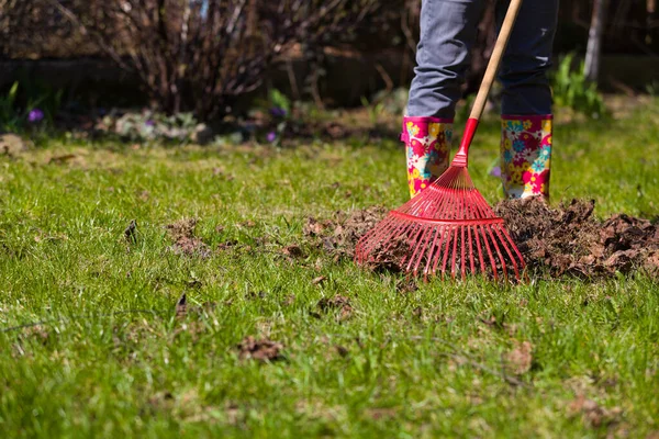 Garden cleaning. Ripening leaves in the spring. Red rakes to the leaves.