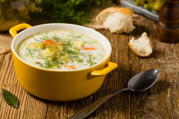 Geleneksel salatalık çorbası ve salatalık turşusu. Ön görünüm.