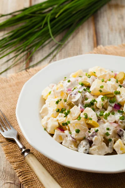 Ensalada Tradicional Papa Alemana Con Pepino Cebolla Mayonesa —  Fotos de Stock