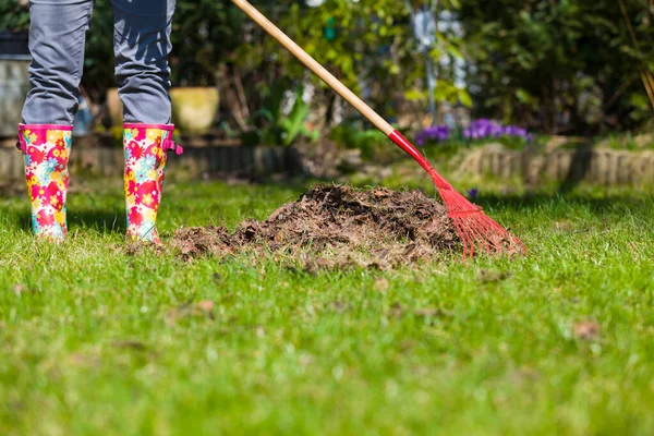 Limpeza Jardim Folhas Amadurecimento Primavera Ancinhos Vermelhos Para Folhas — Fotografia de Stock