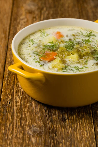 Traditional cucumber soup with pickled cucumbers. Front view. — Stock Image Traditional Cucumber Soup Pickled Cucumbers Front View Stock Image