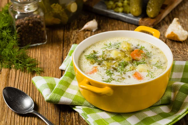 Traditional cucumber soup with pickled cucumbers. Front view. — Stock Image Traditional Cucumber Soup Pickled Cucumbers Front View Royalty Free Stock Photos