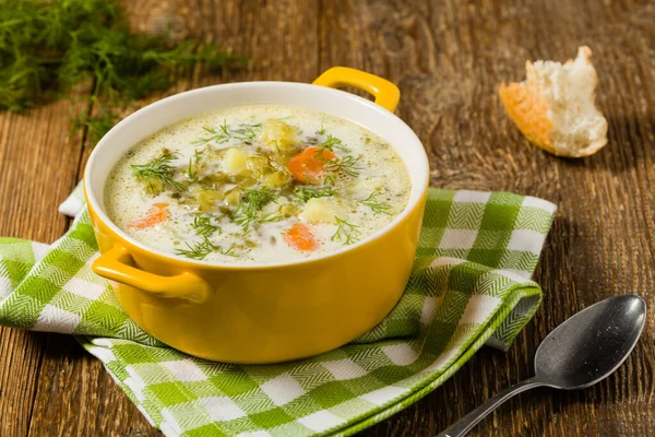 Traditional cucumber soup with pickled cucumbers. Front view. — Stock Image Traditional Cucumber Soup Pickled Cucumbers Front View Royalty Free Stock Photos