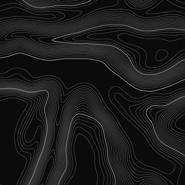 Topografik harita arka planı. Izgara haritası. Kontur. Vektör çizimi.