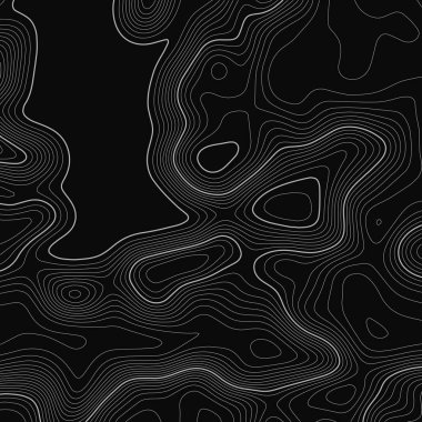 Topografik harita arka planı. Izgara haritası. Kontur. Vektör çizimi.