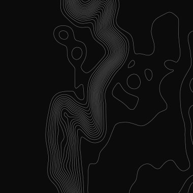 Topografik harita arka planı. Izgara haritası. Kontur. Vektör çizimi.