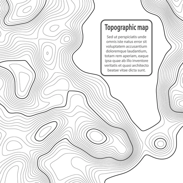 Fondo del mapa topográfico. Mapa de cuadrícula. Contorno. Ilustración vectorial . — Archivo Imágenes Vectoriales