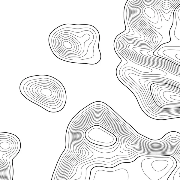 Topografische kaart achtergrond. Rasterkaart. Contour. Vector illustratie. — Stockvector