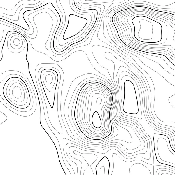 Sfondo della mappa topografica. Mappa della griglia. Il contorno. Illustrazione vettoriale . — Vettoriale Stock