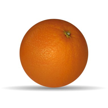 Turuncuvektör illüstrasyon. Meyve portakal vektör illüstrasyon.