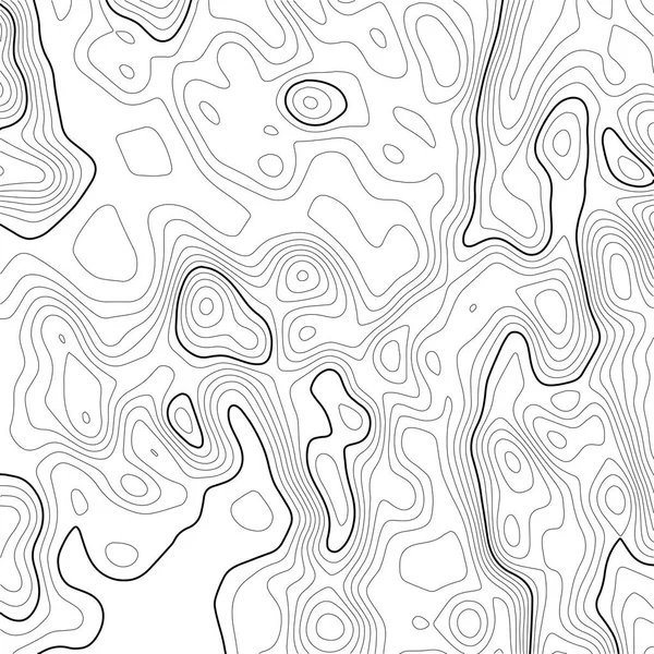 Sfondo della mappa topografica. Mappa della griglia. Il contorno. Illustrazione vettoriale . — Vettoriale Stock