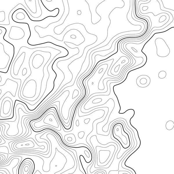 Fondo del mapa topográfico. Mapa de cuadrícula. Contorno. Ilustración vectorial . — Archivo Imágenes Vectoriales