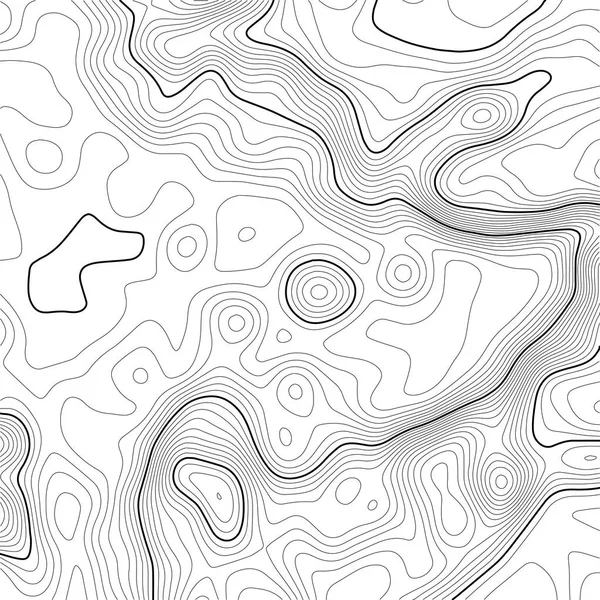 Fondo del mapa topográfico. Mapa de cuadrícula. Contorno. Ilustración vectorial . — Archivo Imágenes Vectoriales