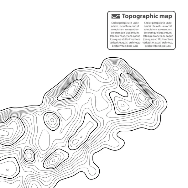 Topografischer Kartenhintergrund. Gitterkarte. Kontur. Vektorillustration. — Stockvektor