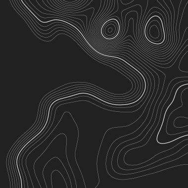 Topografik harita arka planı. Izgara haritası. Kontur. Vektör çizimi.