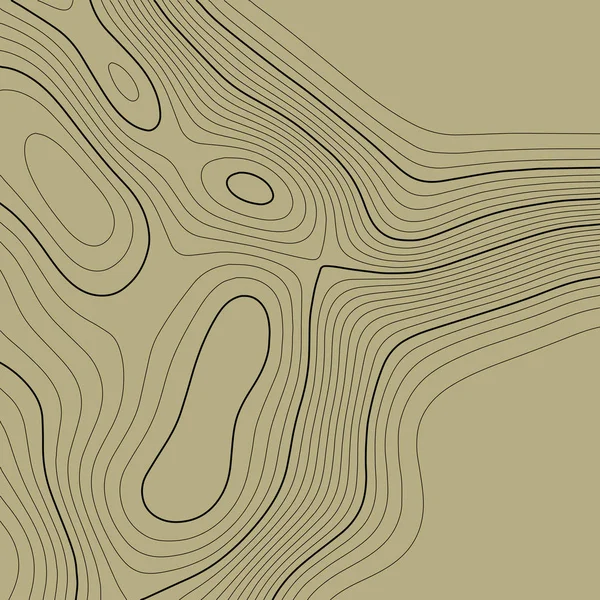 茶色の地形マップの背景。グリッド マップ。ベクトルイラスト . — ストックベクタ