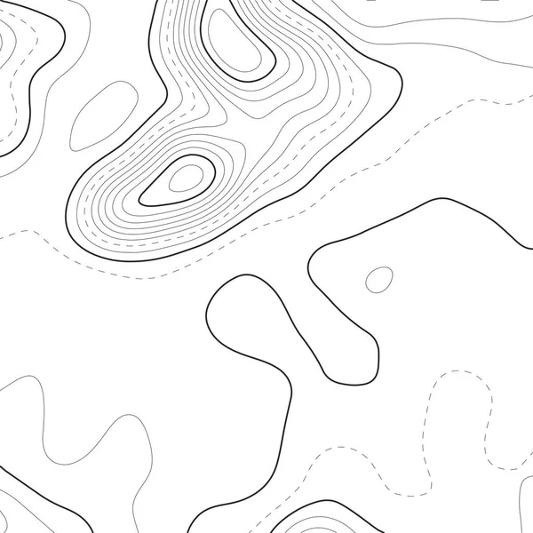 Carte topographique arrière-plan. Carte de grille. Illustration vectorielle  . — Image vectorielle