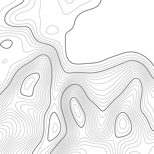 Topograficzne tło mapy. Mapa siatki. Ilustracja wektorowa . — Wektor stockowy