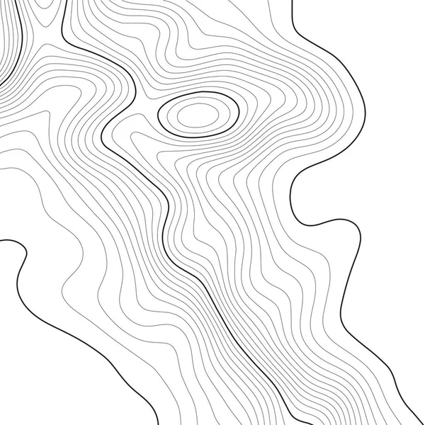 Topografisk kart bakgrund. Rutnäts karta. Vektor illustration . — Stock vektor