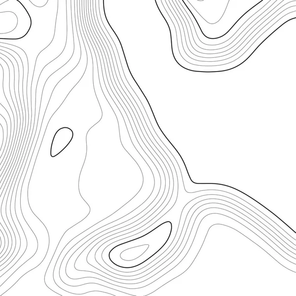 Fondo del mapa topográfico. Mapa de cuadrícula. Ilustración vectorial  . — Archivo Imágenes Vectoriales