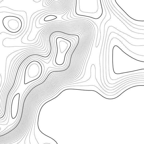 Topographic map background. Grid map. Vector illustration .