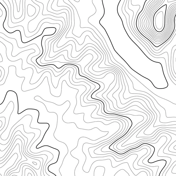 Carte topographique arrière-plan. Carte de grille. Illustration vectorielle  . — Image vectorielle