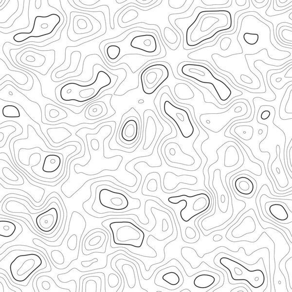 Topographic map background. Grid map. Vector illustration .
