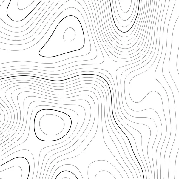 Mapa topográfico de fundo. Mapa da grade. Contorno. Ilustração vetorial . —  Vetores de Stock