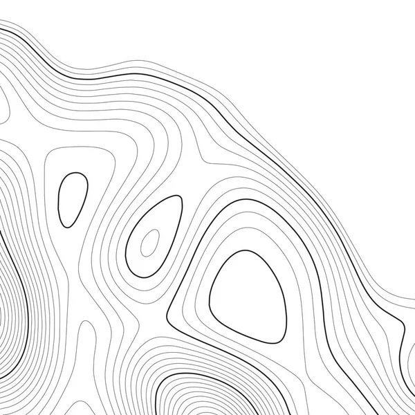 Carte topographique arrière-plan. Carte de grille. Contour. Illustration vectorielle . — Image vectorielle