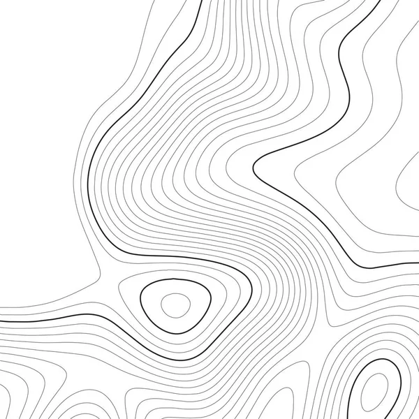 Topografische kaart achtergrond. Rasterkaart. Contour. Vector illustratie. — Stockvector