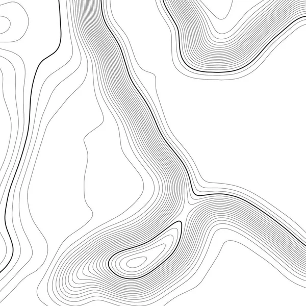 Fondo del mapa topográfico. Mapa de cuadrícula. Contorno. Ilustración vectorial . — Archivo Imágenes Vectoriales