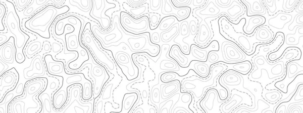 Topografya haritası arka planı. Vektör coğrafi kontur haritası. — Stok Vektör