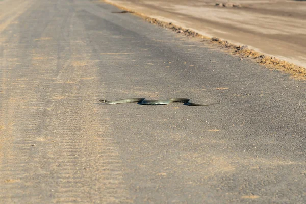 新道路施工现场危险蛇的大视角 — 图库照片