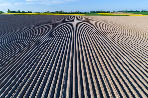 Aerial View Large Field Rows — Stock Photo, Image