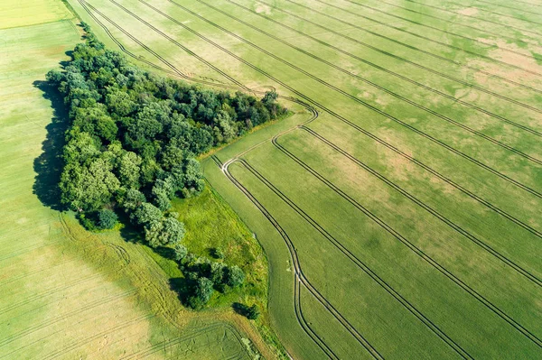 Aerial View Large Green Field — Stock Photo, Image