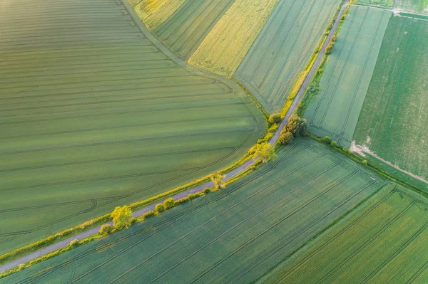 Vista Aérea Sobre Gran Campo Verde —  Fotos de Stock